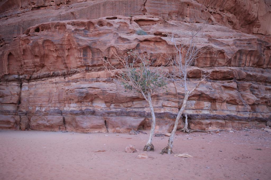 Bedouin Expedition Wadi Rum Luaran gambar