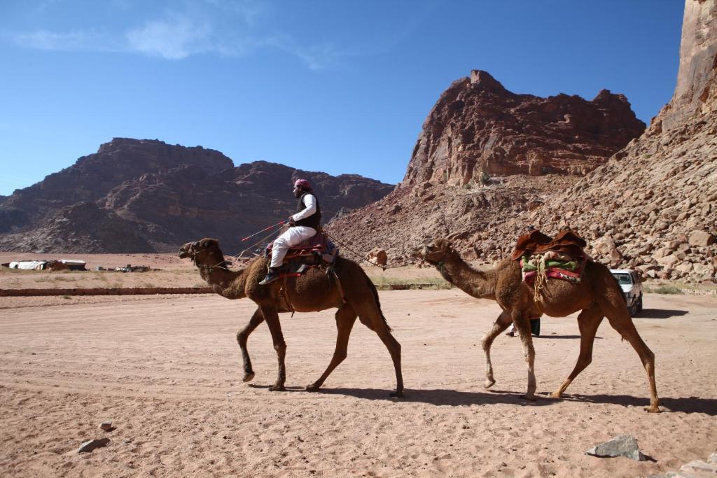 Bedouin Expedition Wadi Rum Luaran gambar