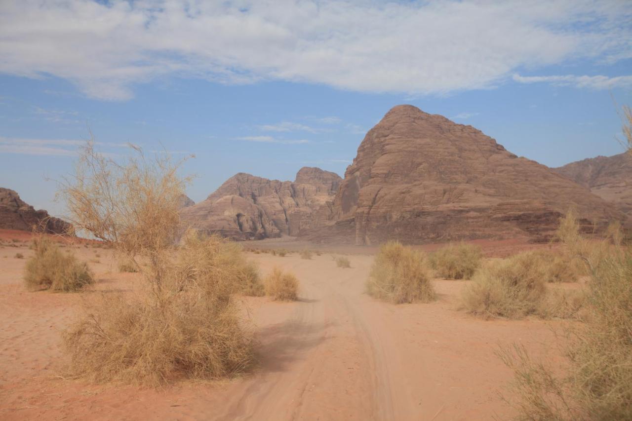 Bedouin Expedition Wadi Rum Luaran gambar